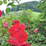 Gastehaus Gitti Dorner 3* Хиттизау